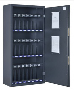 кедр24